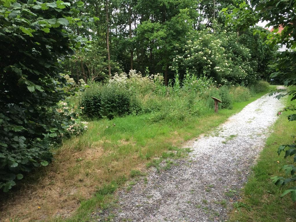 B&B 'T Buitenkansje Almere Bagian luar foto